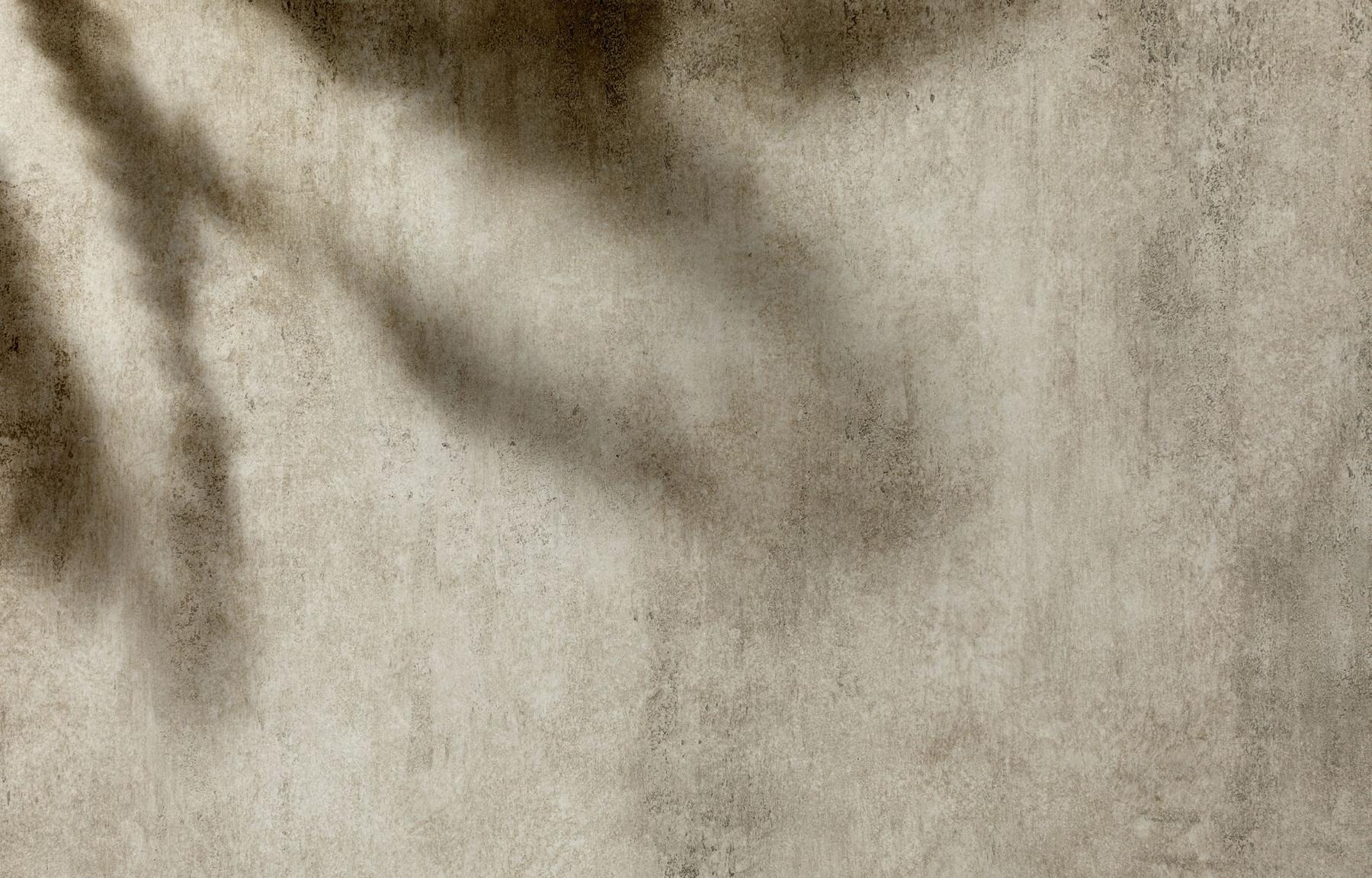 Textured concrete wall with leaf shadow