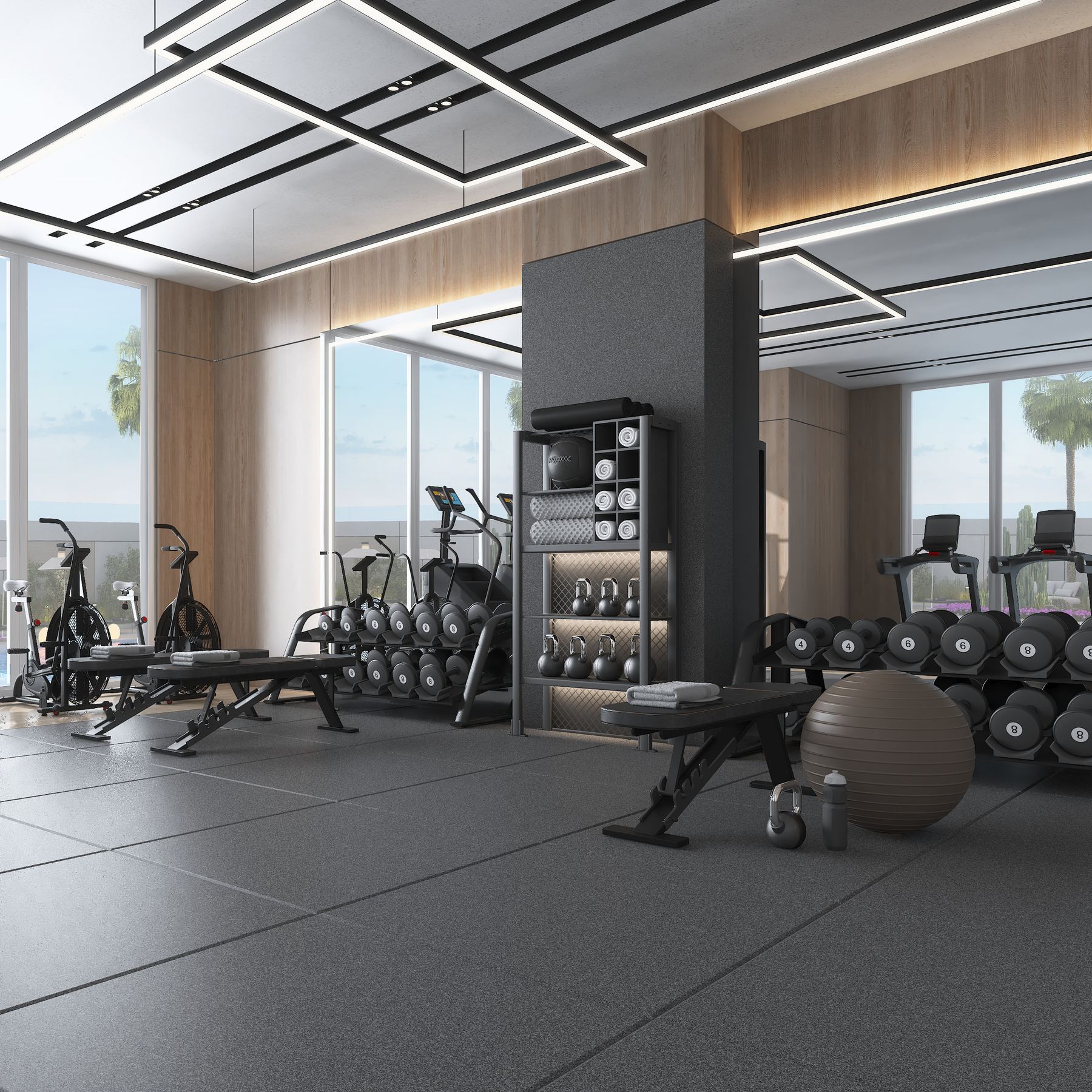 Free-weight area of the gym